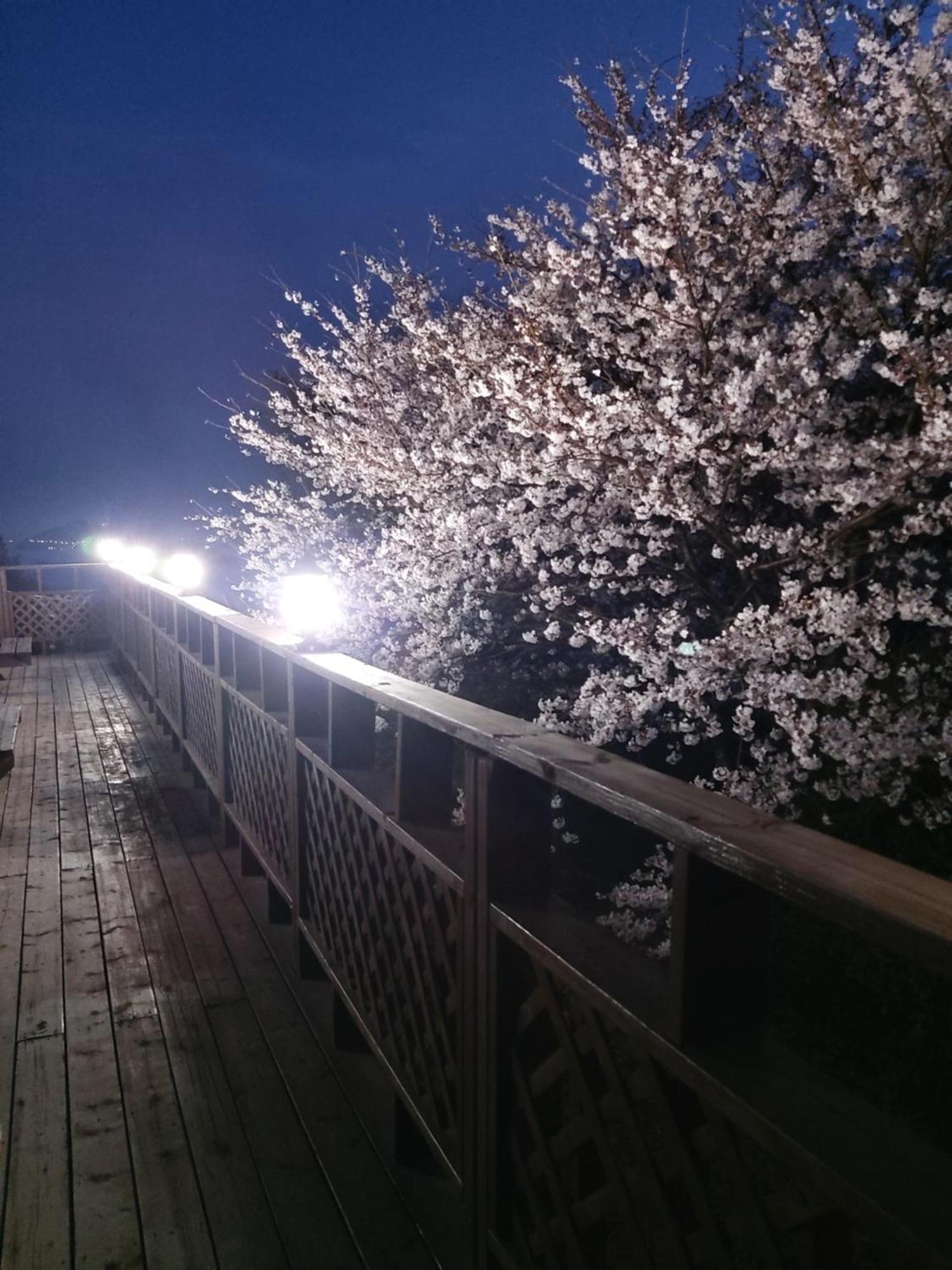Hotel White House Namhae Esterno foto