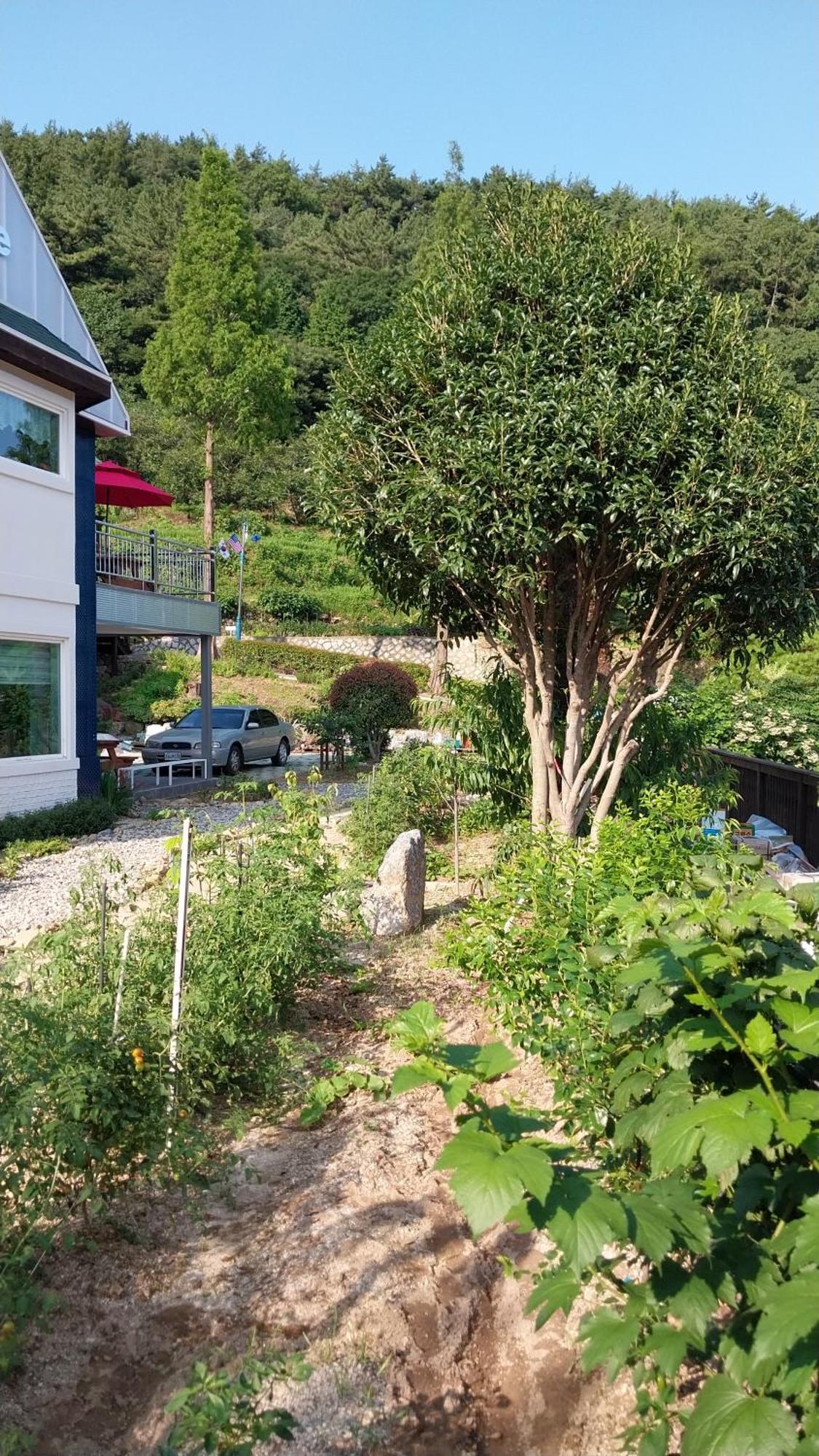 Hotel White House Namhae Esterno foto