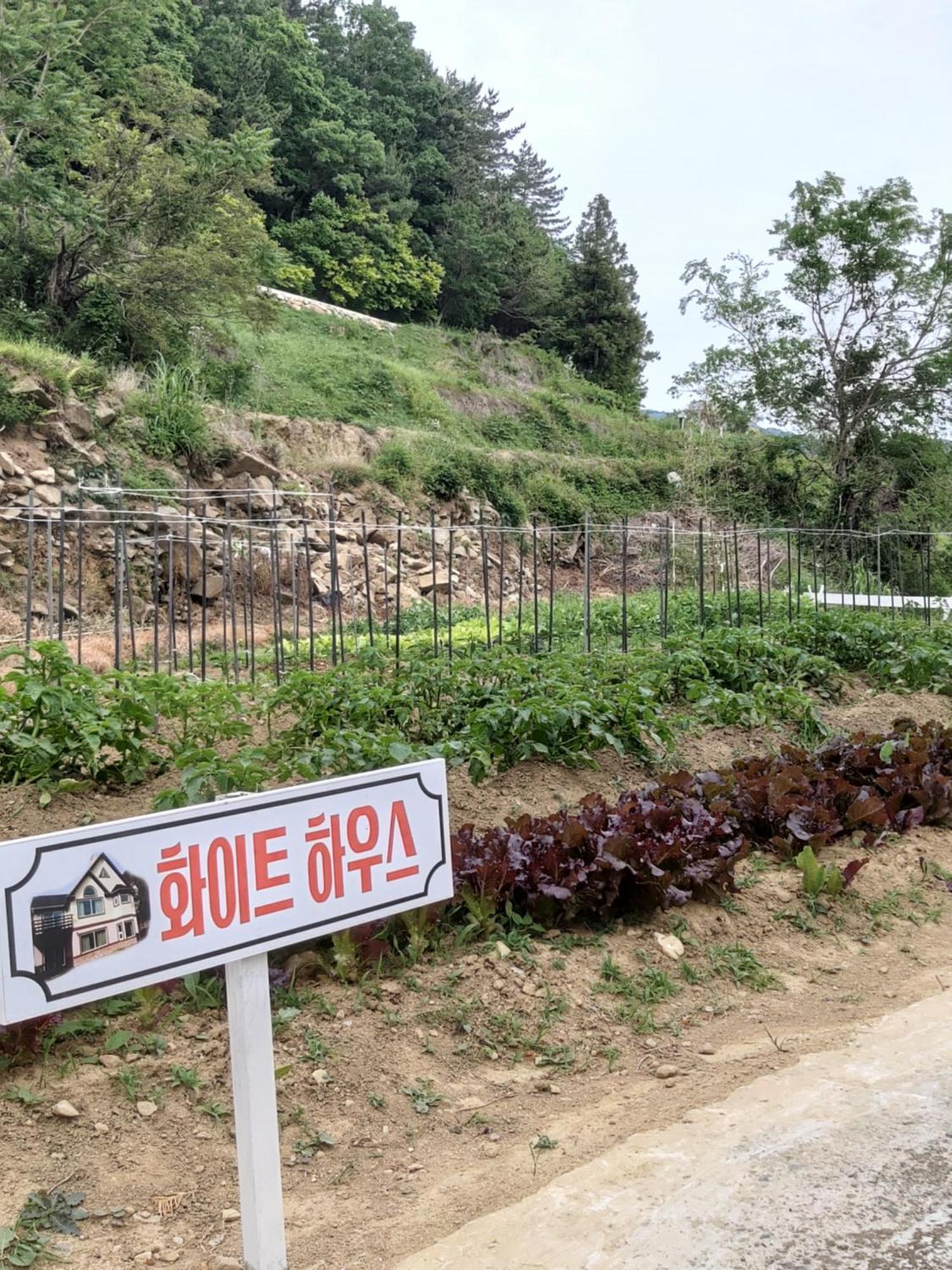 Hotel White House Namhae Esterno foto