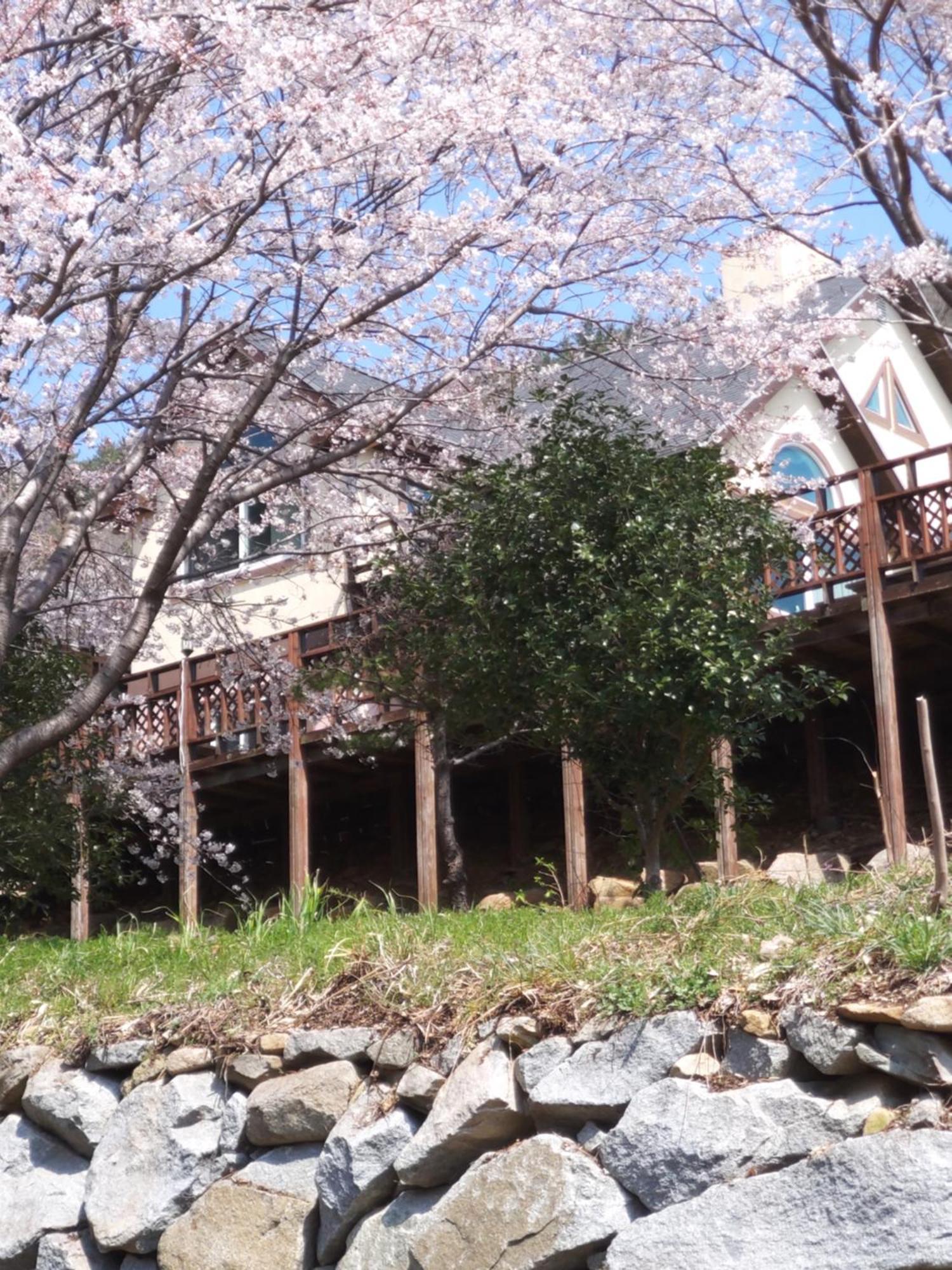 Hotel White House Namhae Esterno foto